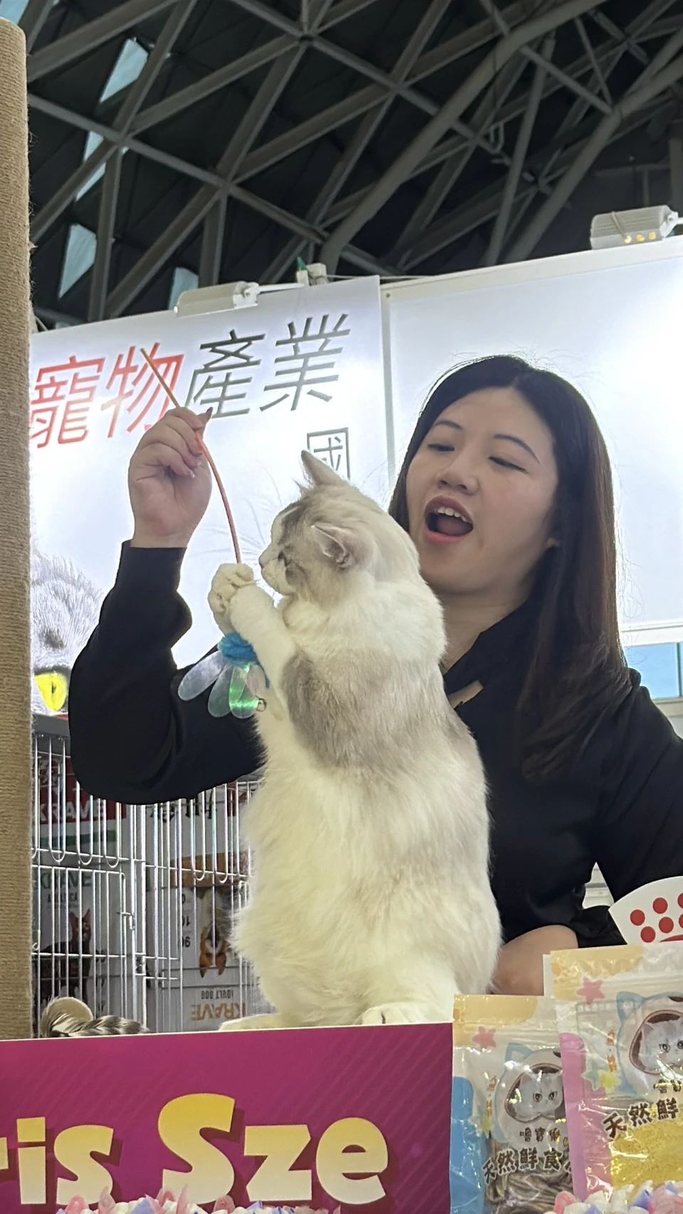 比賽花絮