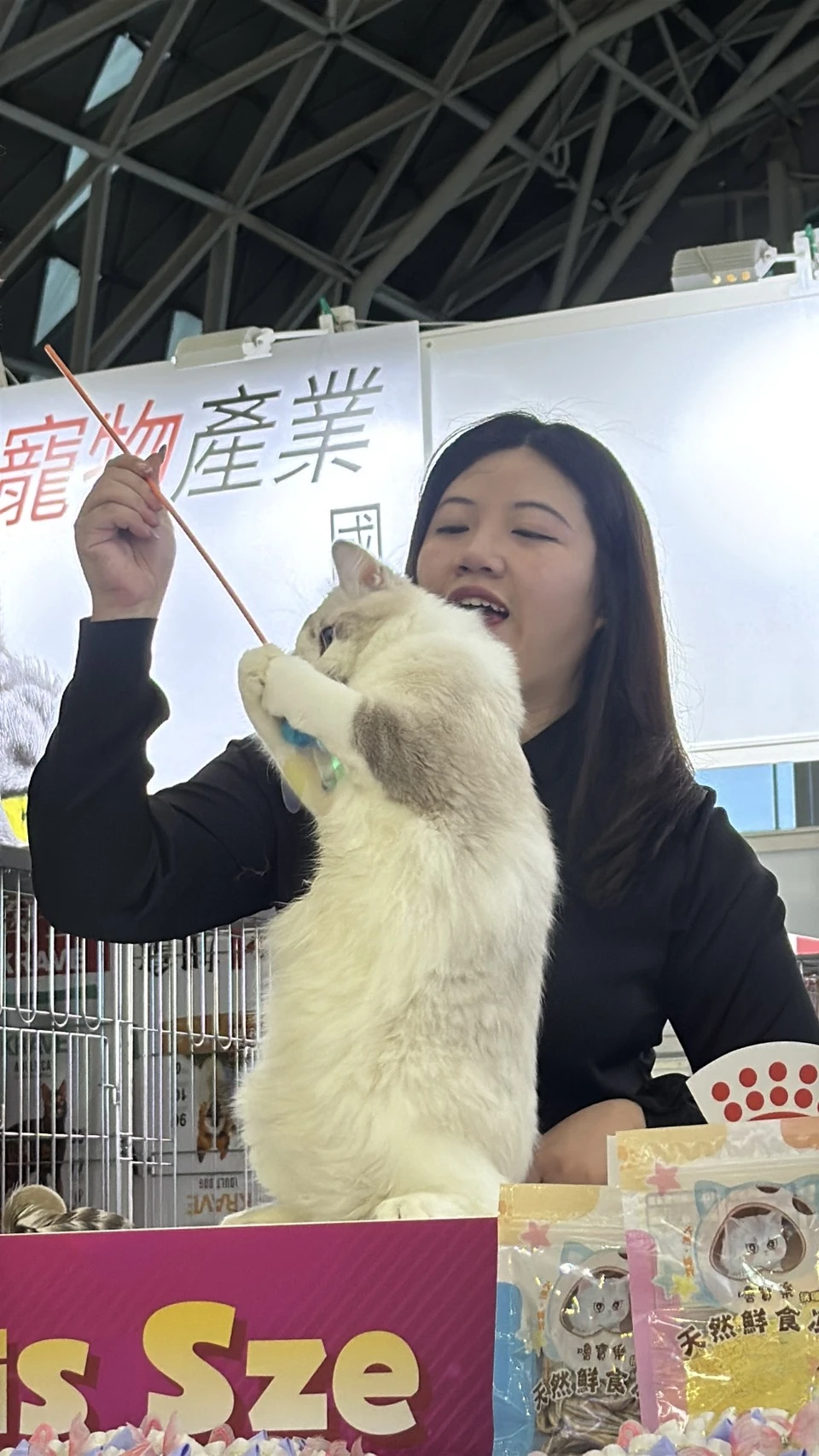 比賽花絮