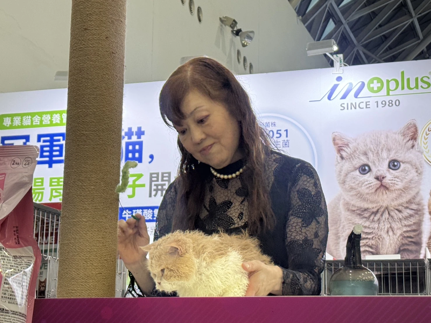 比賽花絮