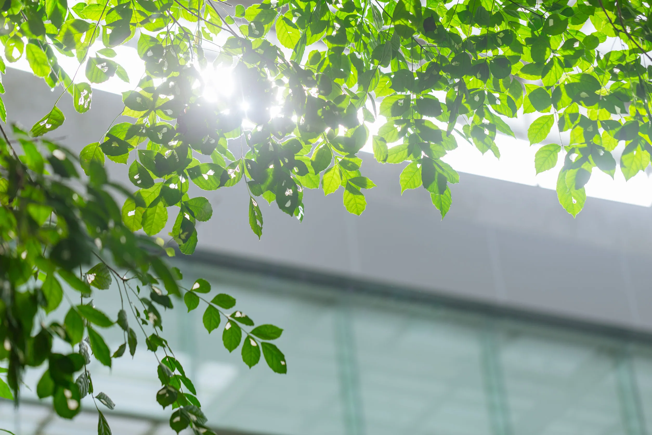 最新消息｜空氣淨化機｜空氣淨化機推薦