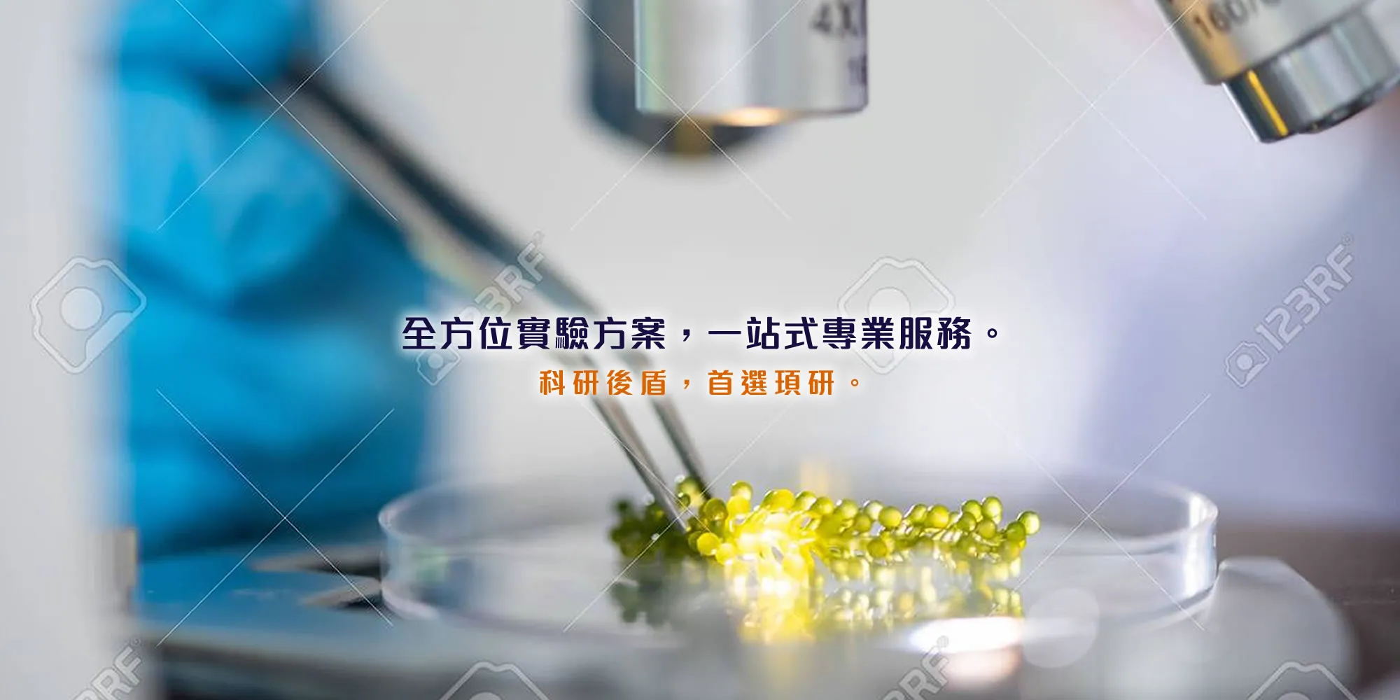 頊研生物科技 SR BIOTECH-生技公司,試劑公司,高雄生技公司,三民試劑公司