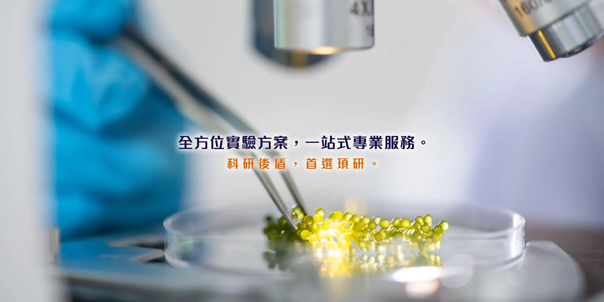 頊研生物科技 SR BIOTECH-生技公司,試劑公司,高雄生技公司,三民試劑公司