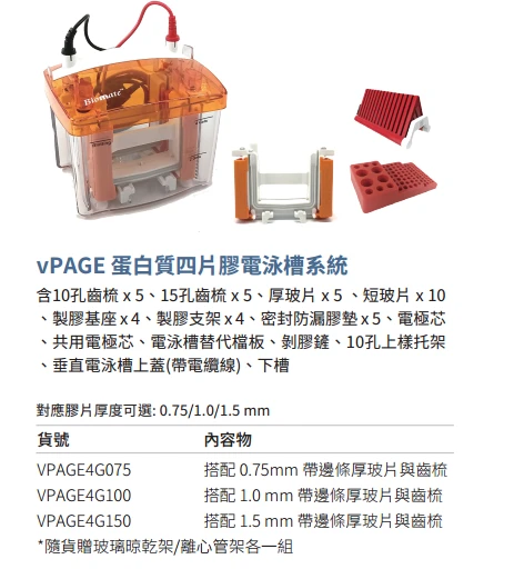 2片和4片式蛋白質電泳與轉漬 (BIO-RAD副廠) 100_相對應
