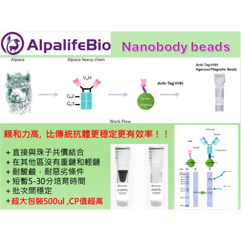 【AlpalifeB
