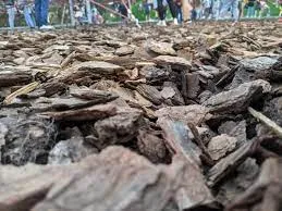 Wood Chips