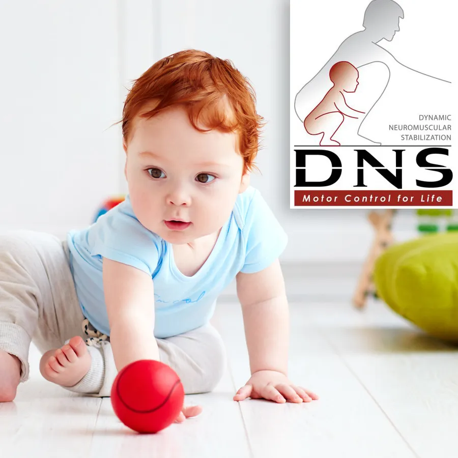 中風復健｜動態神經肌肉穩定術（DNS）