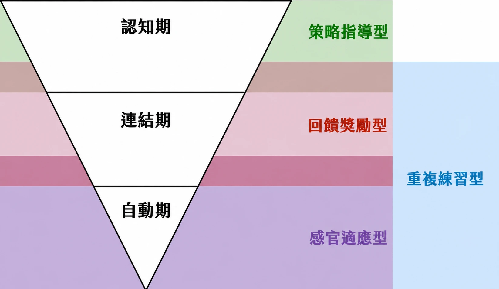 中風復健的「大腦重開機」指南：解密四大動作學習機制