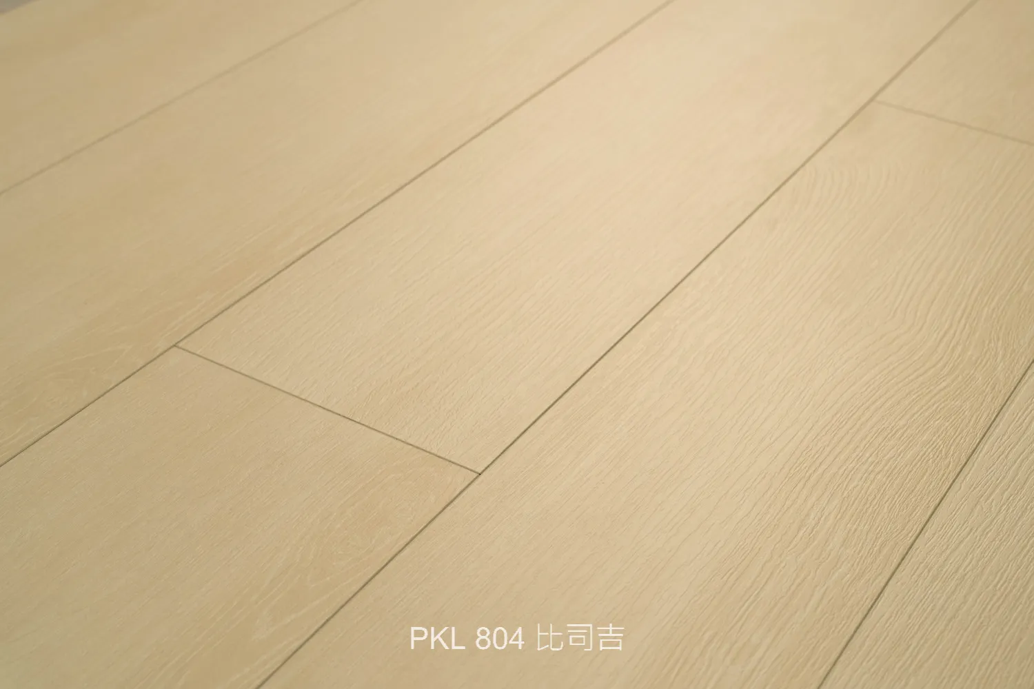 PKL 804 比司吉