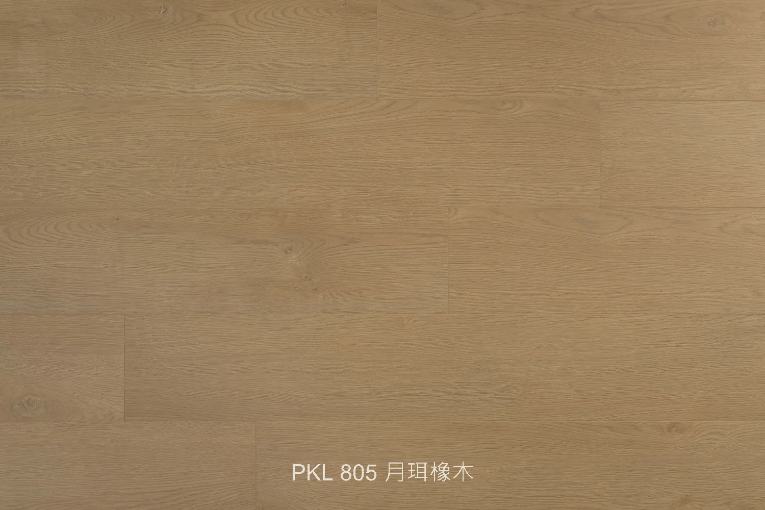 PKL 805 月珥橡木