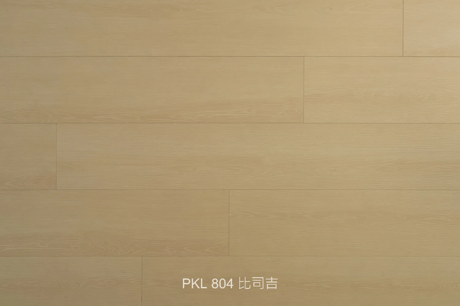 PKL 804 比司吉