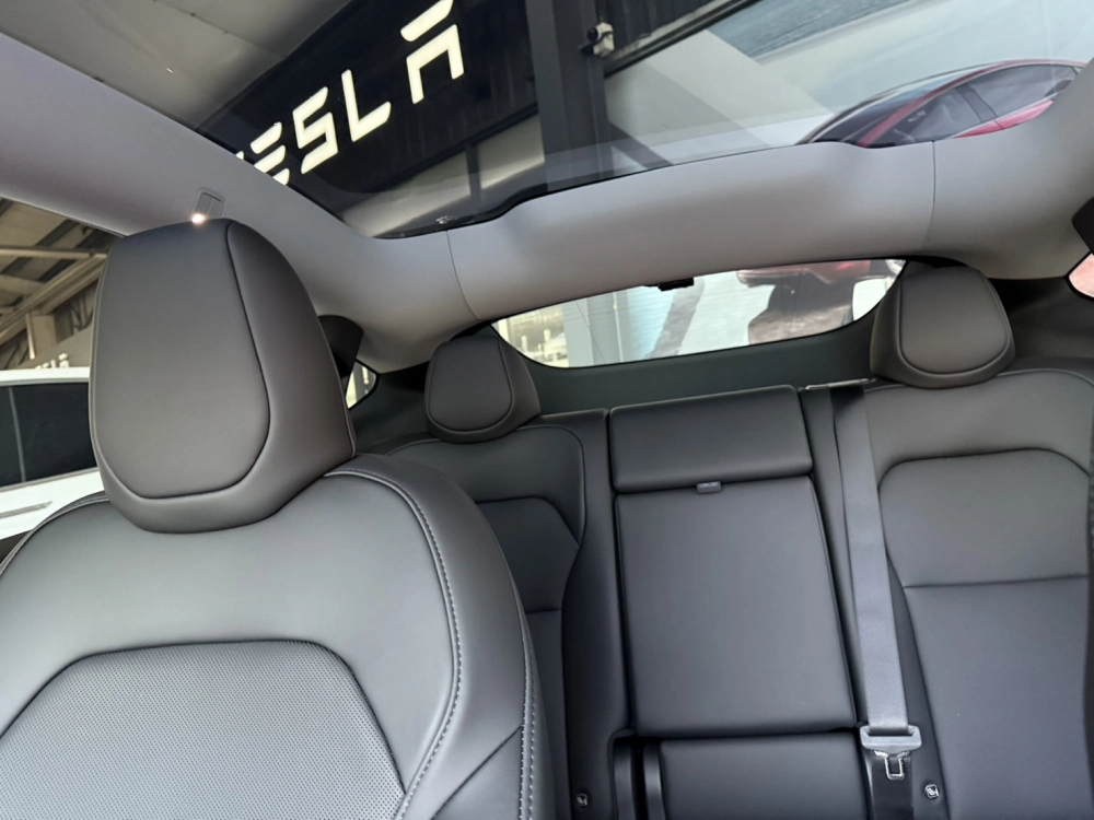 Tesla Model Y 快譯通 S95A