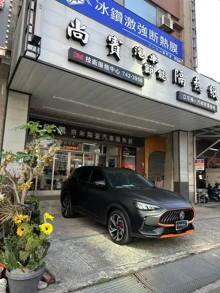 MG HS 前擋TX400 車身TX200 天窗TX600