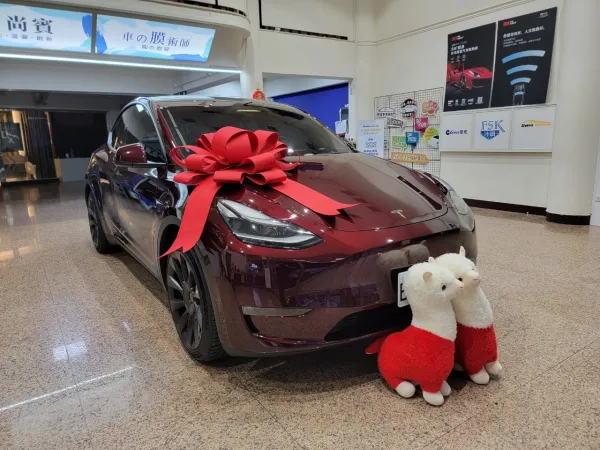 Tesla Model Y 前檔LX40車身LX25天窗XE70+S7天窗