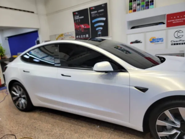 Tesla Model3 前檔ZX30車身ZX15天窗ZX30