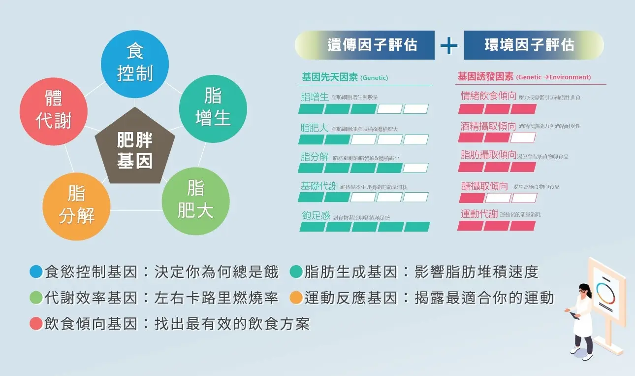 遺傳性肥胖風險評估