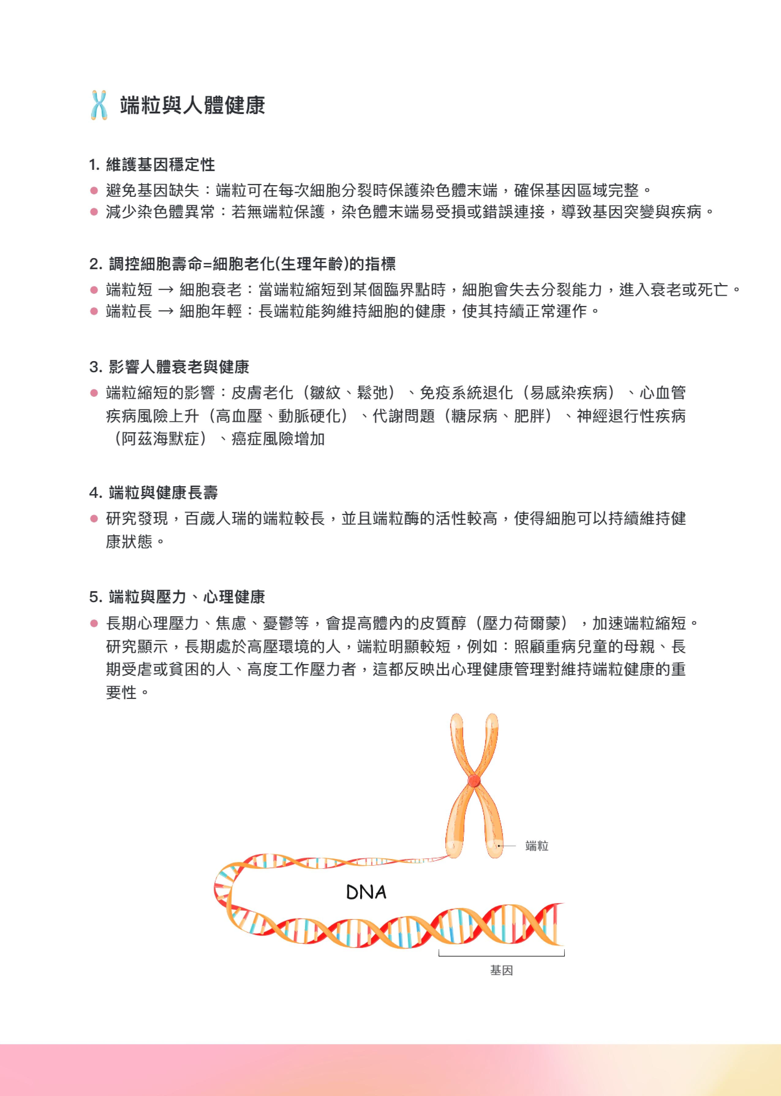 青春指數端粒檢測-HQ-TEL