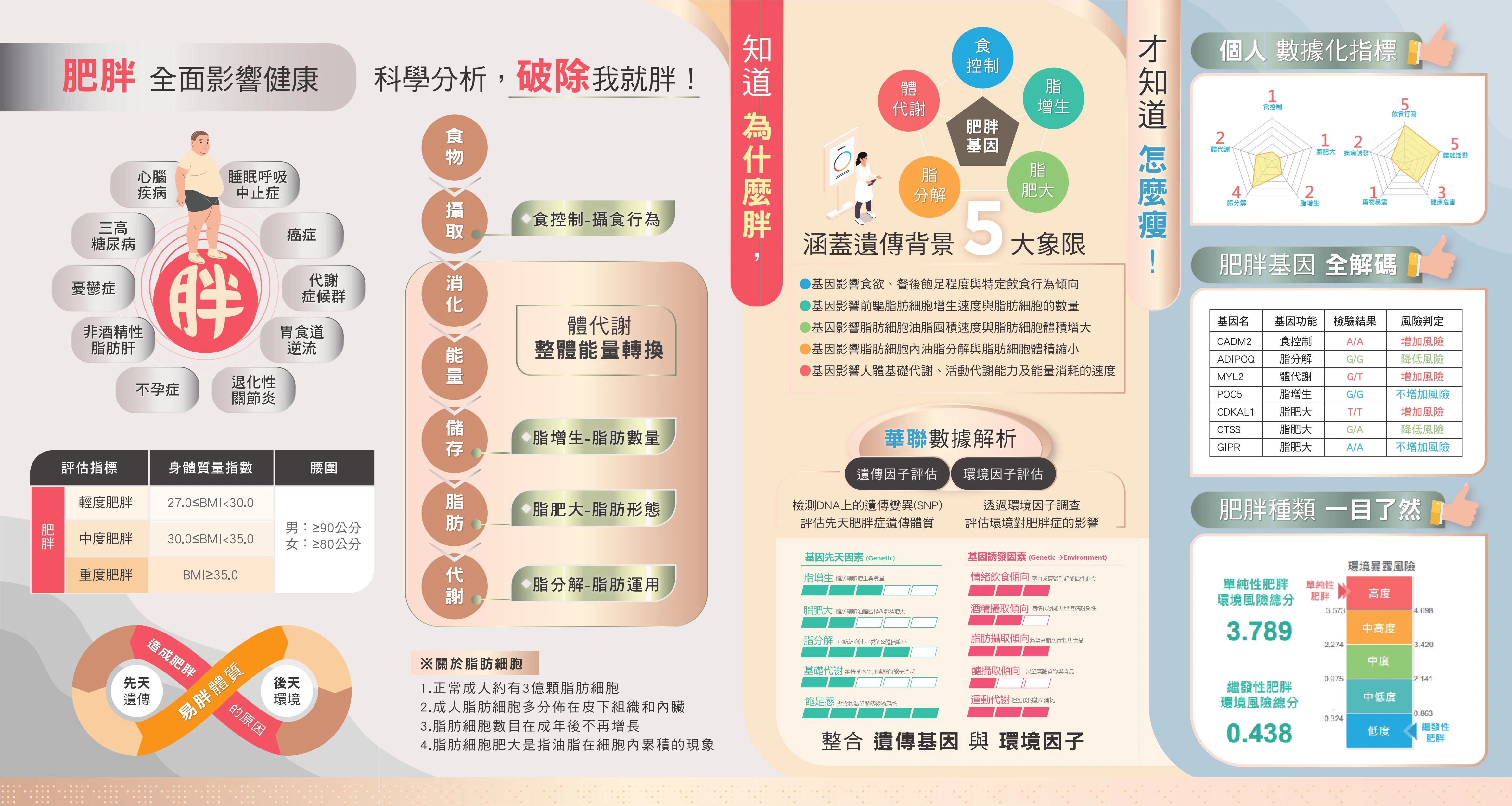 遺傳性肥胖風險評估