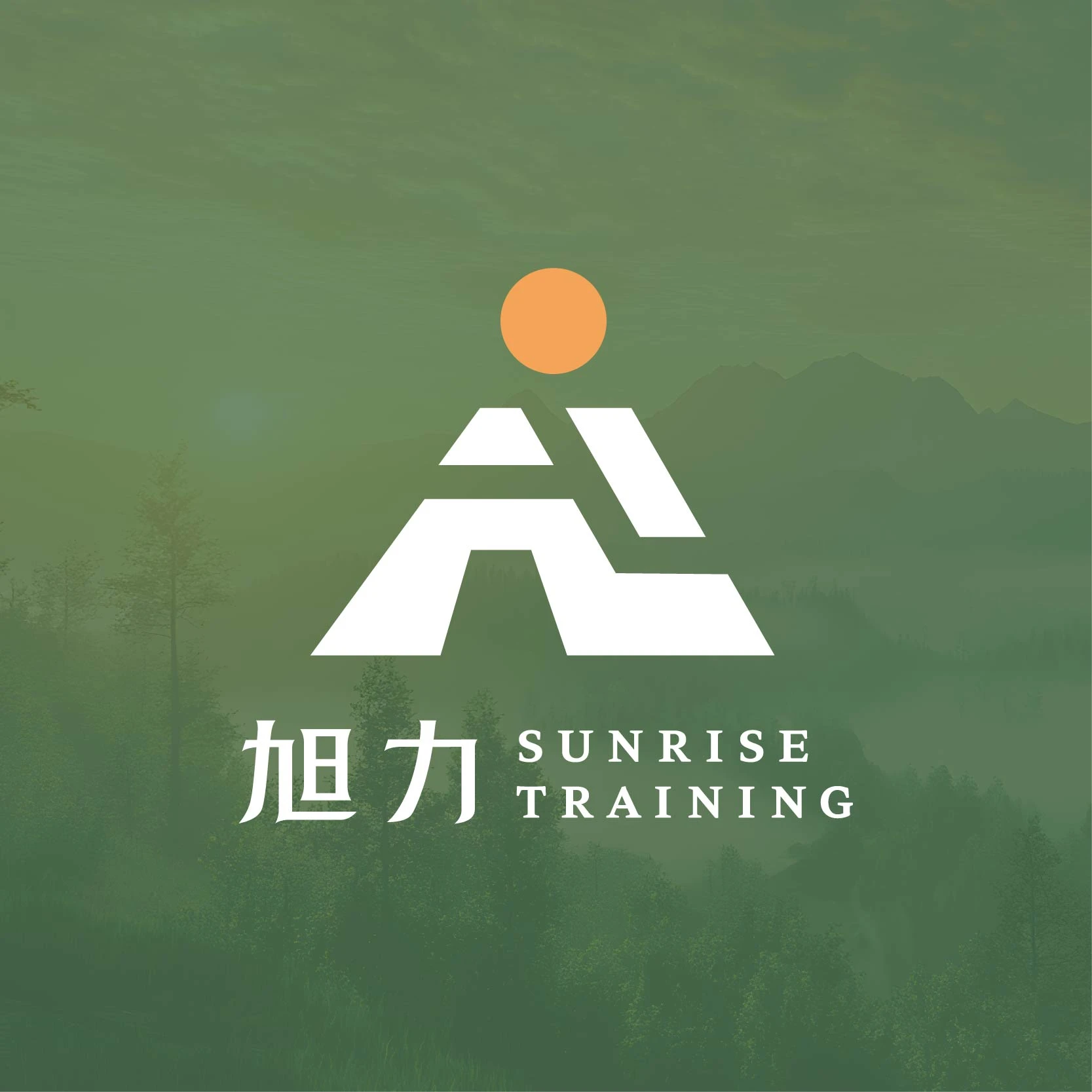如何補充優質蛋白質？