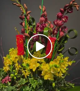 祝福大家新的一年圓圓滿滿！