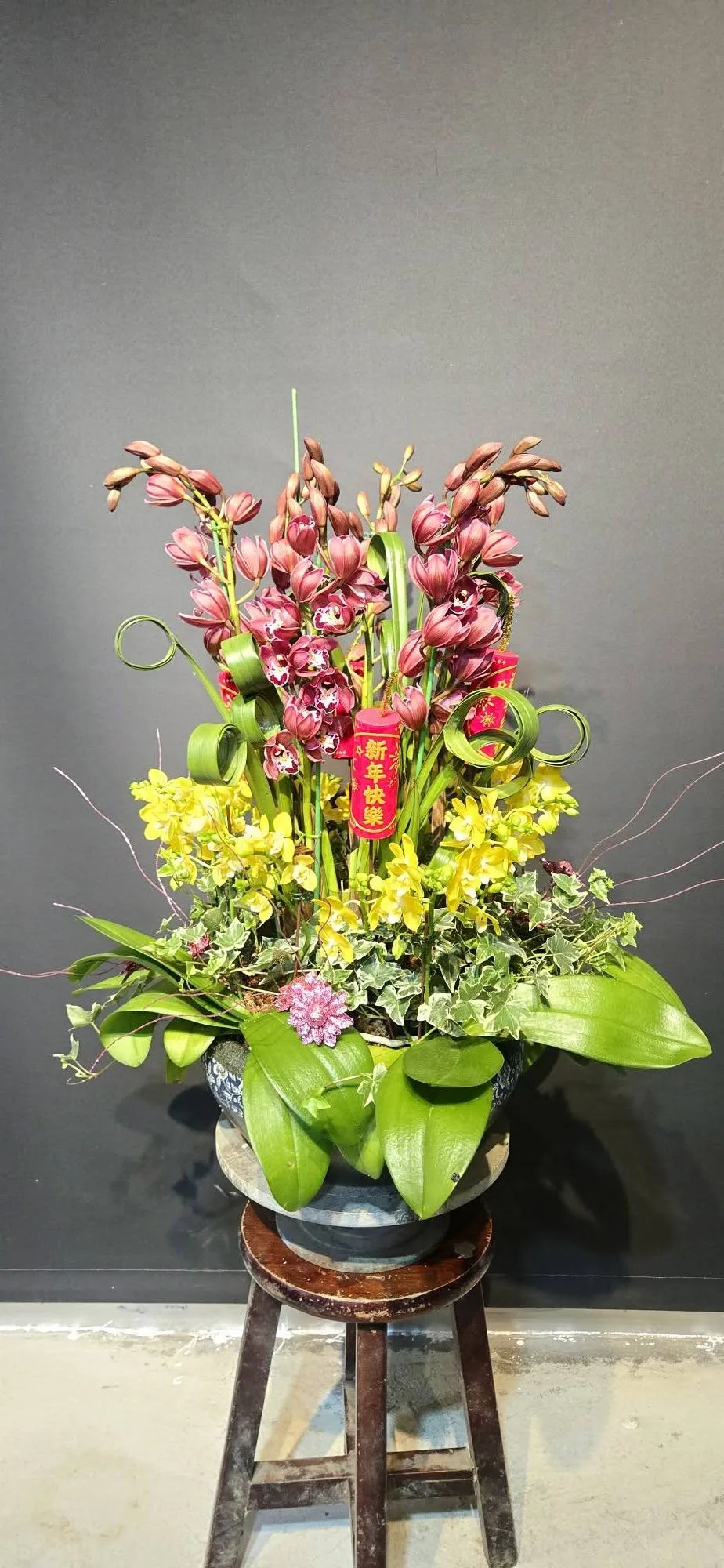 十分圓滿蝴蝶蘭 價格4500元