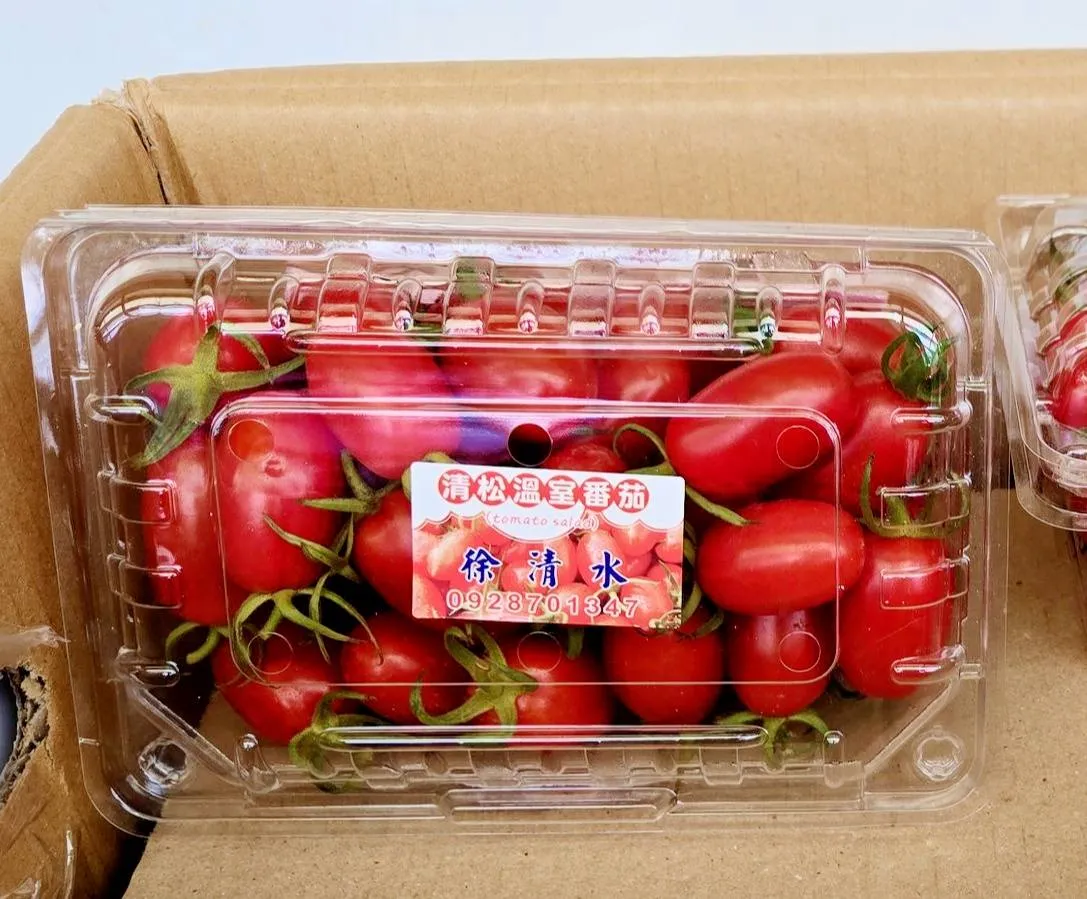溫室栽培玉女蕃茄 一盒250元（1斤裝）