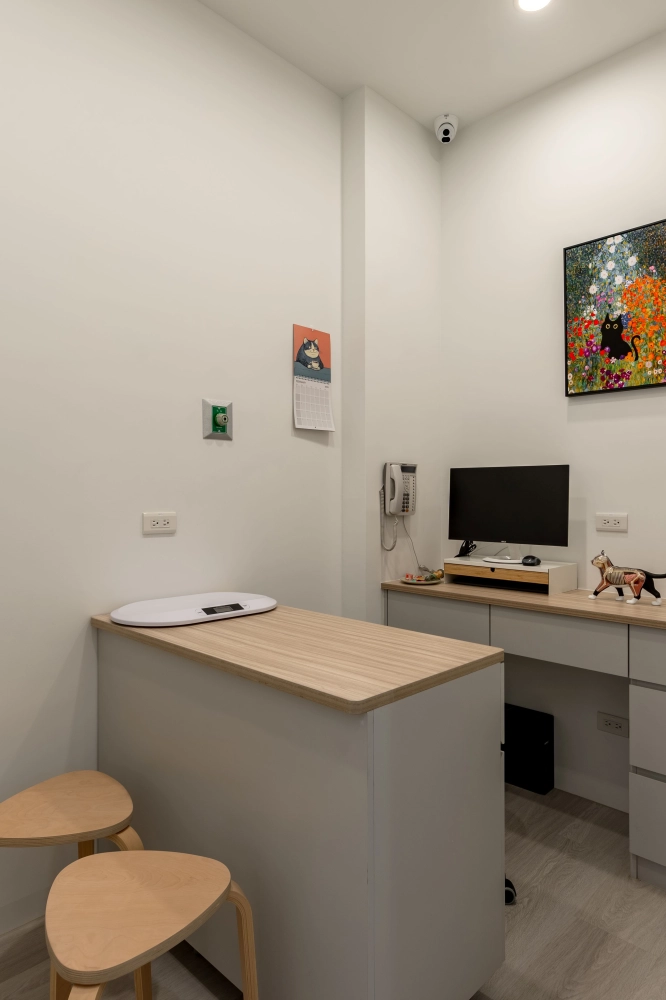 獨立貓候診區＆貓專屬診間