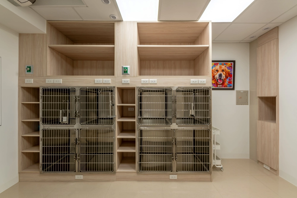 狗專屬住院部