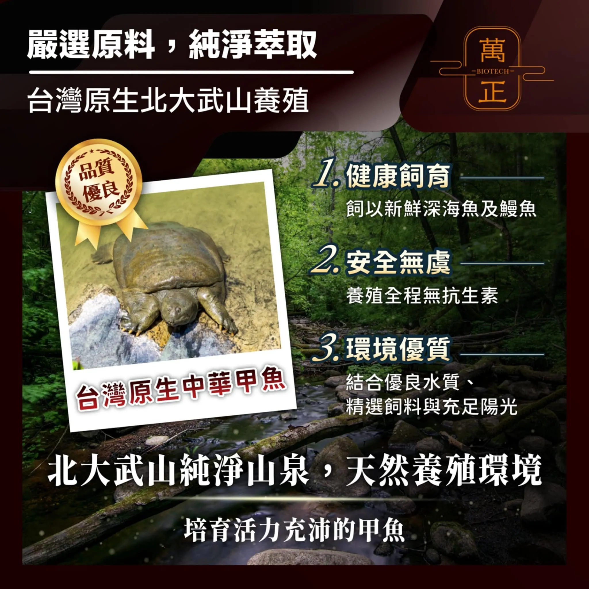 活力頌 專利甲魚精 專利鱉精膠囊 甲魚 甲魚血 甲魚鞭 高達634mg 全甲魚精華