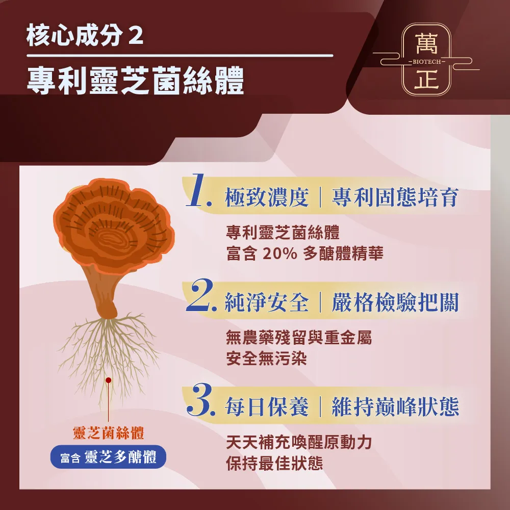 蟲草靈芝王 業界靈芝多醣體含量最高(>40%) 護肝 抗氧化 滋補強身 純素