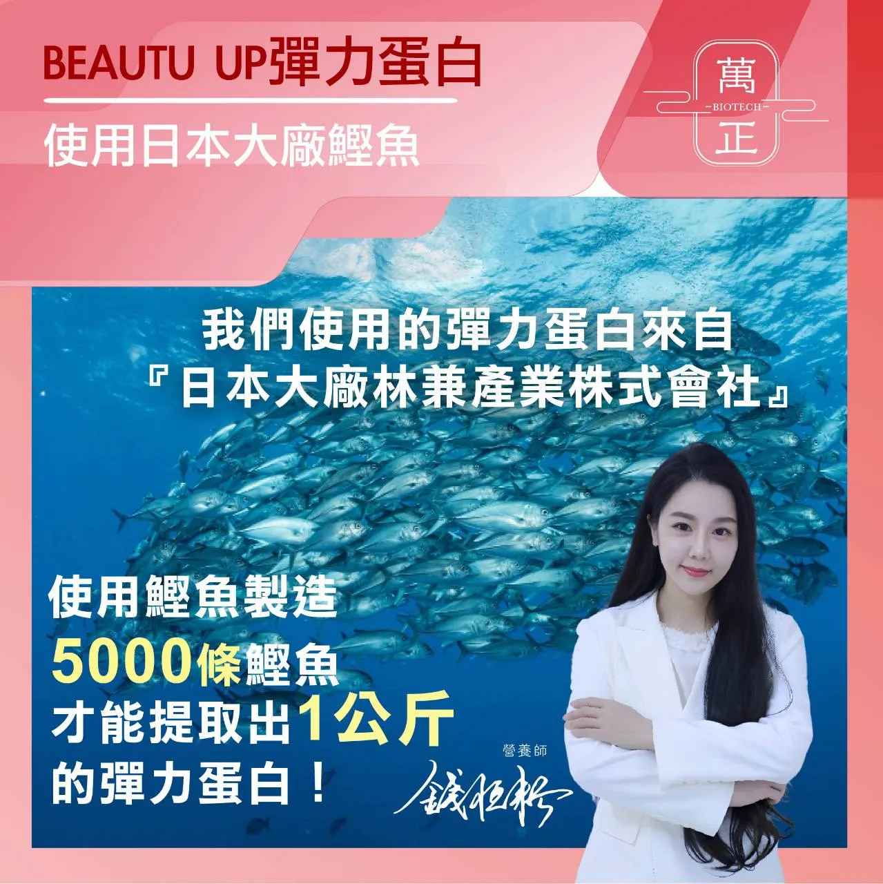 BEAUTY UP 彈力蛋白 彈力蛋白是把膠原蛋白撐起來的關鍵 送豬膠原蛋白50日