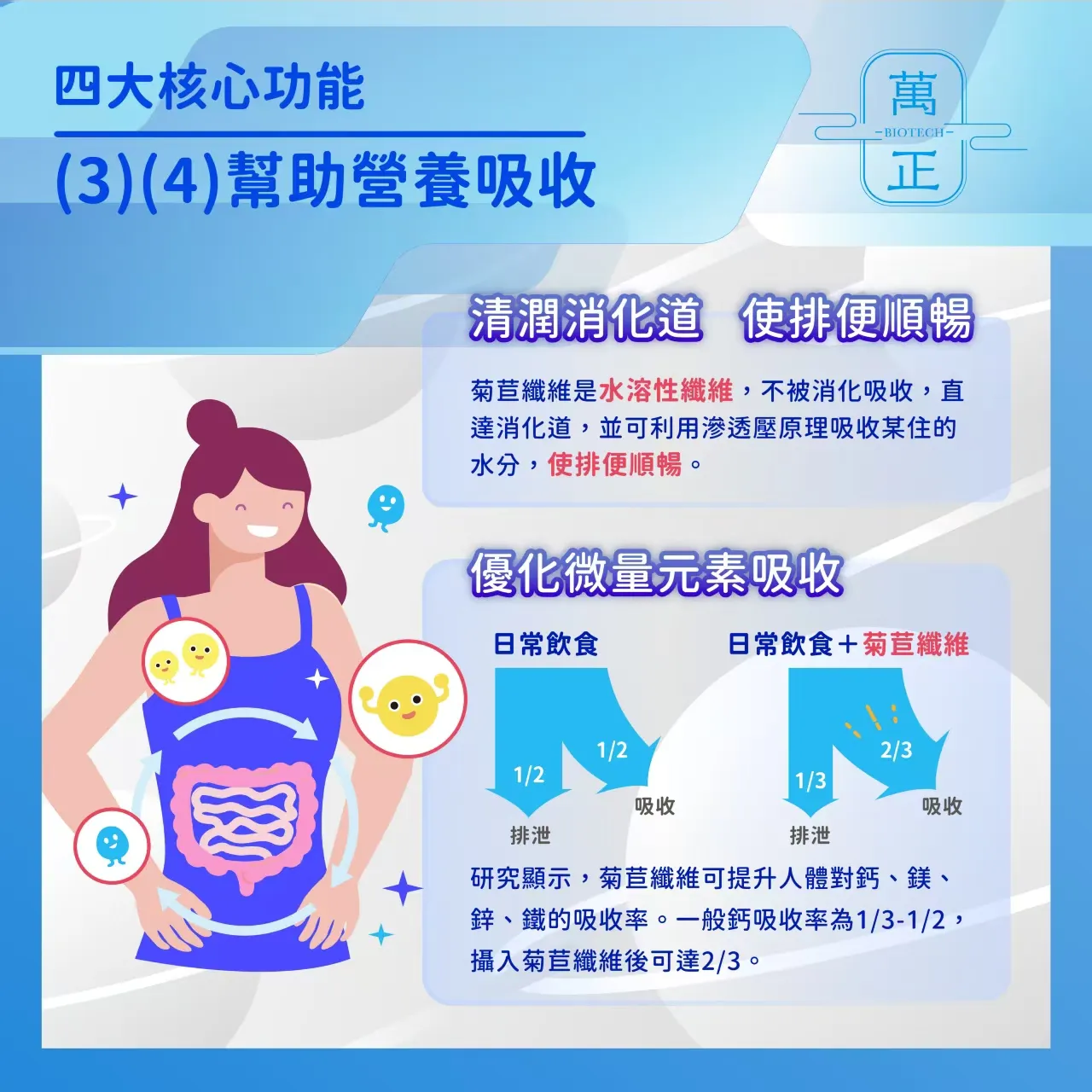 inulin 比利時長鏈菊苣纖維 菊苣纖維 植物益生元 膳食纖維 水溶性纖維 菊糖 7包送專利維生素D+K