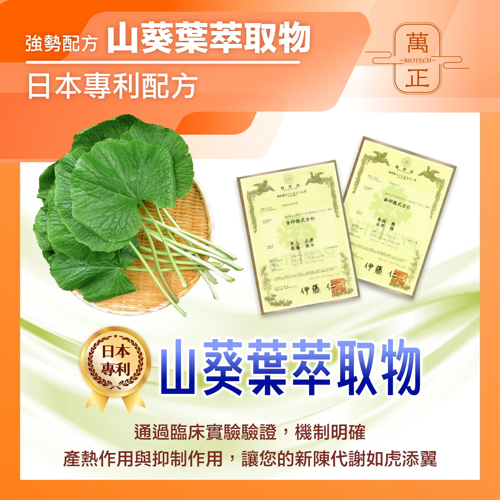 歐美版 食在輕鬆 低碳蛋白飲 分離乳清 大豆蛋白 山葵萃取 難消化性糊精纖維 非基改 8包送鈣碇 10包送維生素D+K 奶素蛋白粉