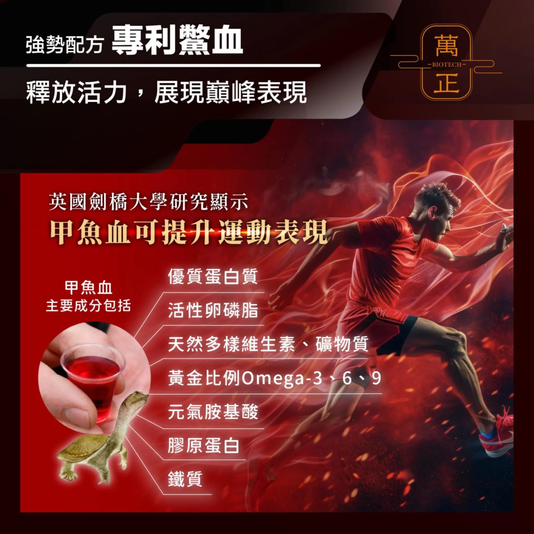 活力頌 專利甲魚精 專利鱉精膠囊 甲魚 甲魚血 甲魚鞭 高達634mg 全甲魚精華