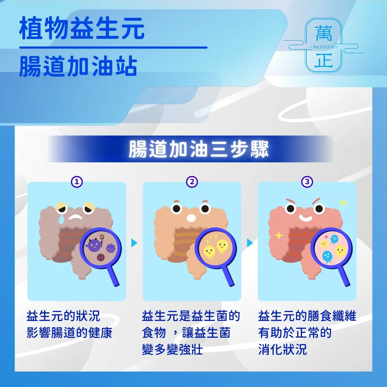 inulin 比利時長鏈菊苣纖維 菊苣纖維 植物益生元 膳食纖維 水溶性纖維 菊糖 7包送專利維生素D+K