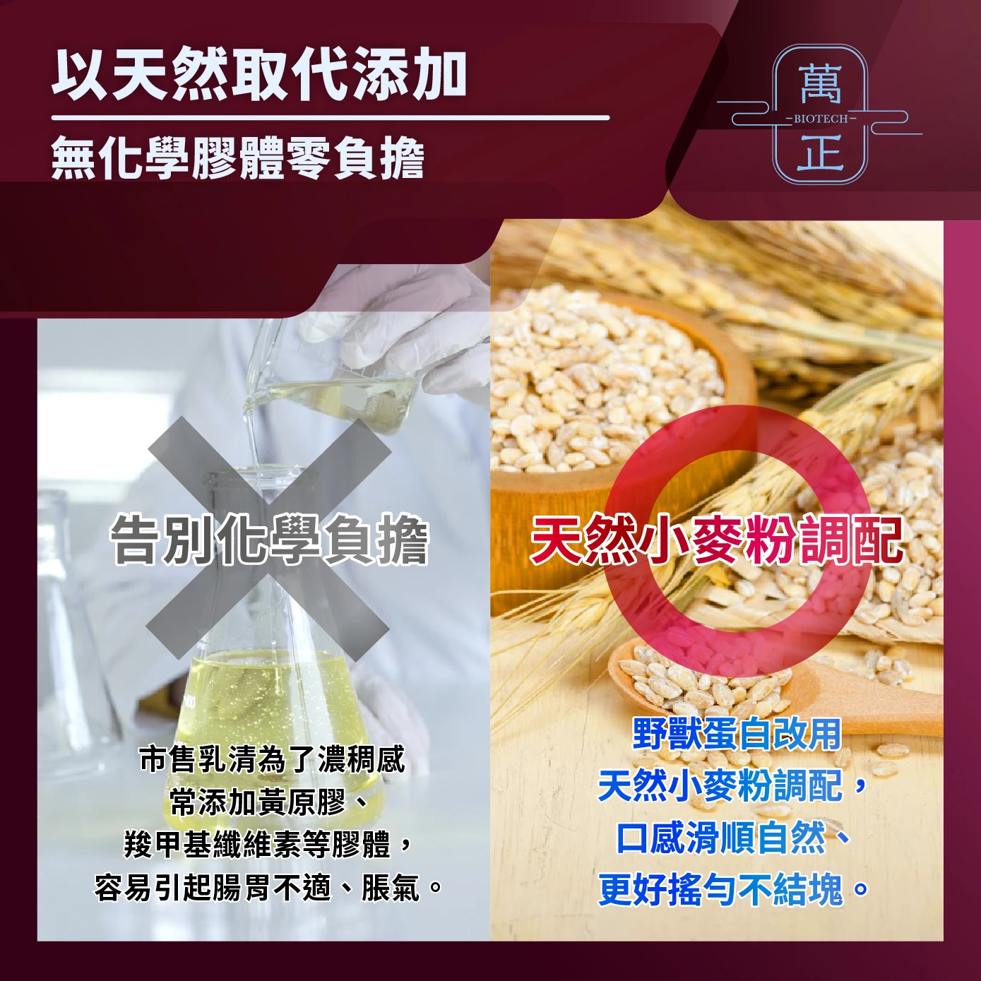 獸-超級乳清蛋白 美國濃縮乳清 巧克力 原味 美國AMCO水解乳清 高端牛初乳 牛初乳蛋白 調味濃縮乳清 蛋白粉