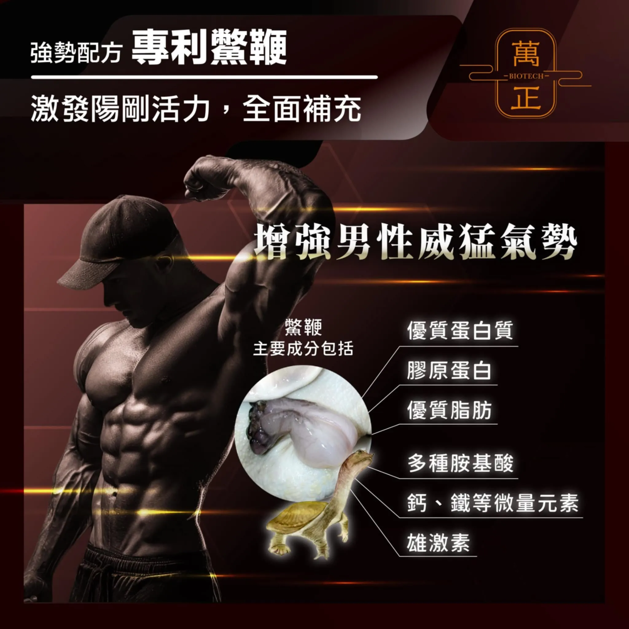 活力頌 專利甲魚精 專利鱉精膠囊 甲魚 甲魚血 甲魚鞭 高達634mg 全甲魚精華