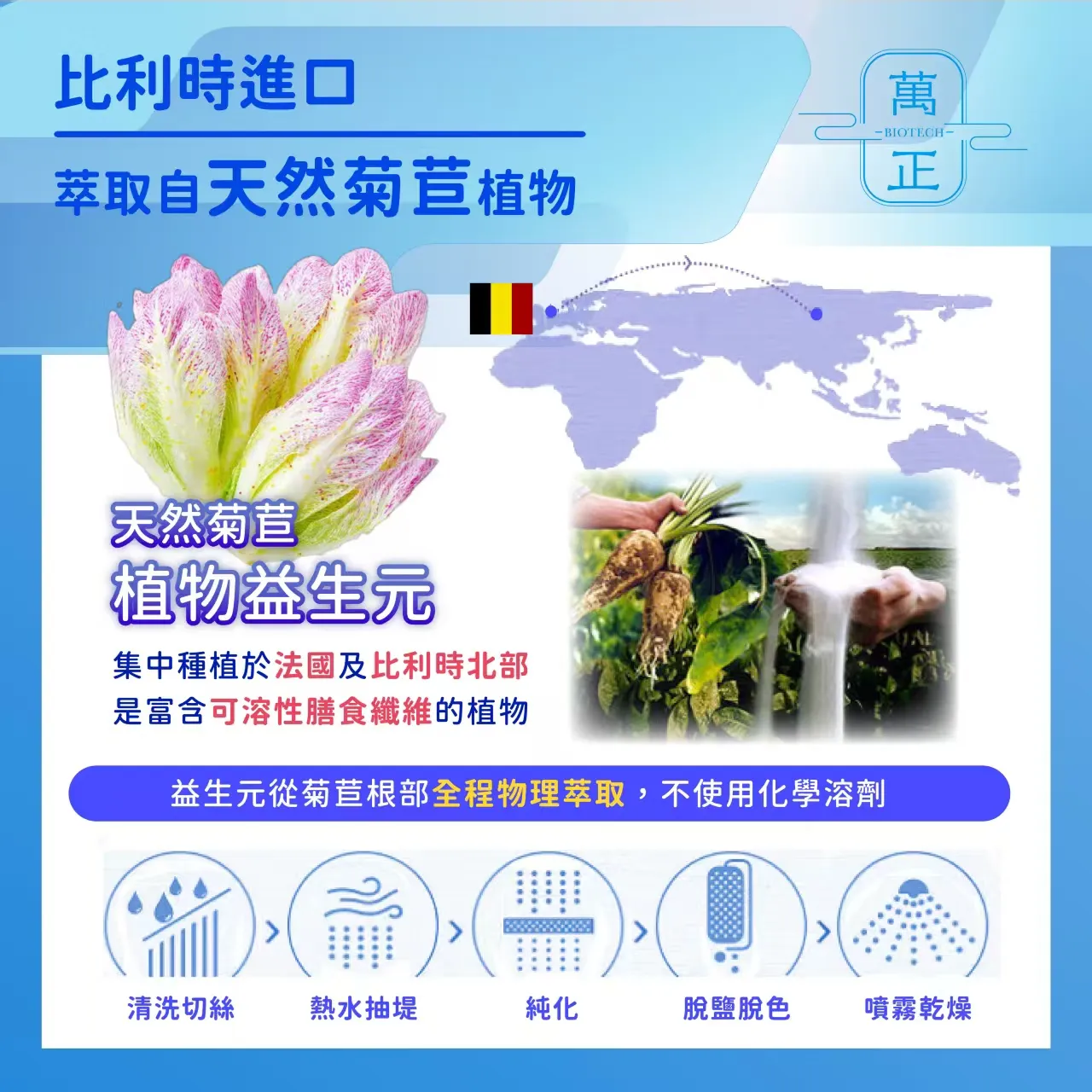inulin 比利時長鏈菊苣纖維 菊苣纖維 植物益生元 膳食纖維 水溶性纖維 菊糖 7包送專利維生素D+K