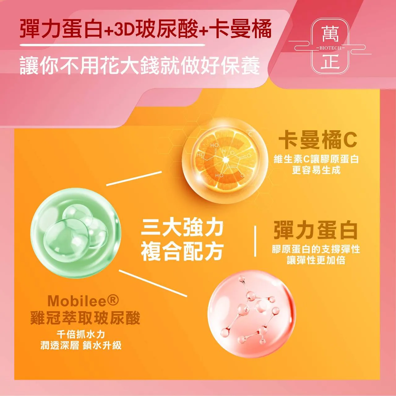 BEAUTY UP 彈力蛋白 彈力蛋白是把膠原蛋白撐起來的關鍵 送豬膠原蛋白50日