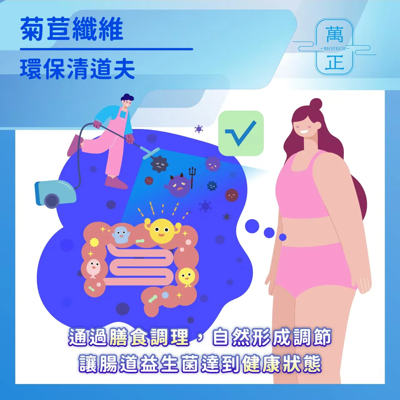 inulin 比利時長鏈菊苣纖維 菊苣纖維 植物益生元 膳食纖維 水溶性纖維 菊糖 7包送專利維生素D+K