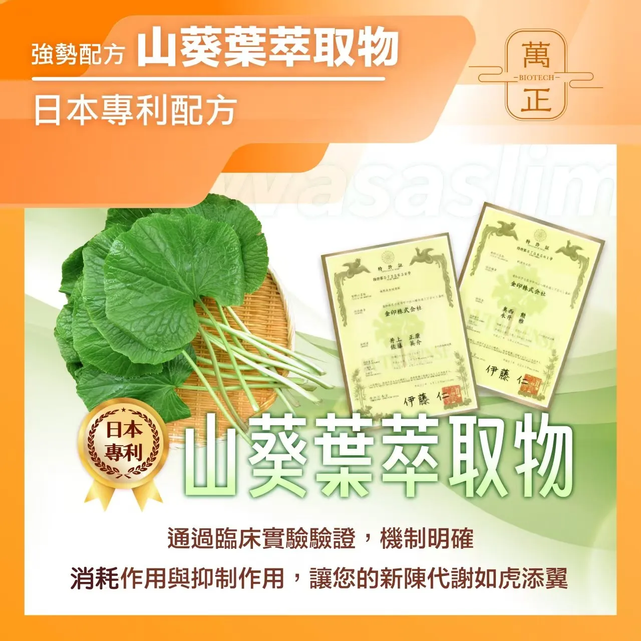 阿糖版 食在輕鬆 低碳蛋白飲 分離乳清 大豆蛋白 山葵萃取 阿拉伯糖 L-Arabinose 非基改 8包送鈣碇 10包送維生素D+K 奶素蛋白粉