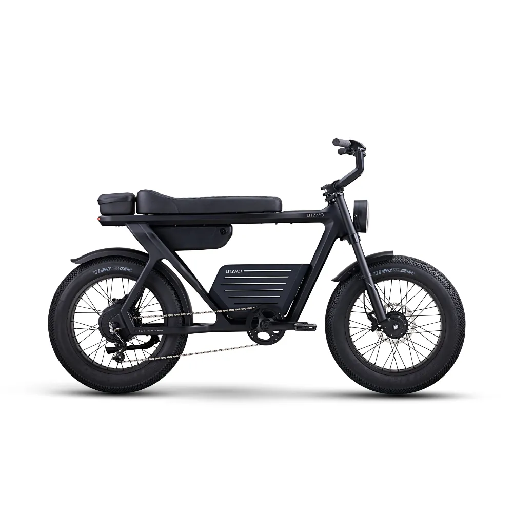 ER-01 ELECTRIC BICYCLE