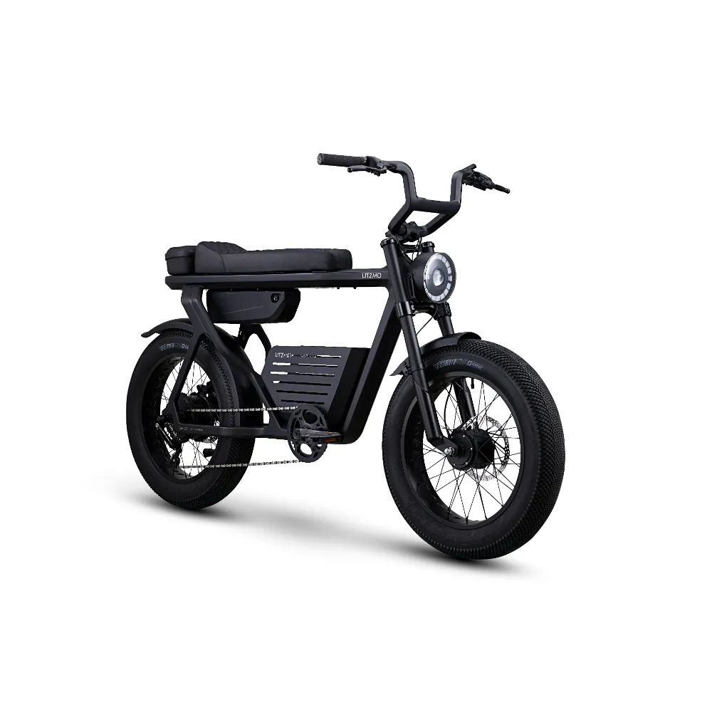 ER-01 ELECTRIC BICYCLE