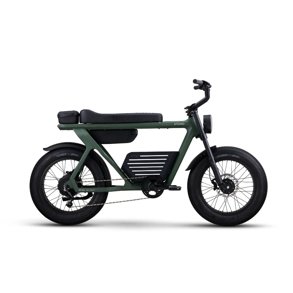 ER-01 ELECTRIC BICYCLE