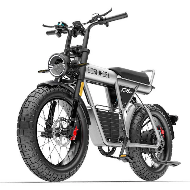 COSWHEEL 電動輔助自行車 CT20S｜ 48 V 1000 W｜25Ah ｜2025 最新產品｜12期零利率|