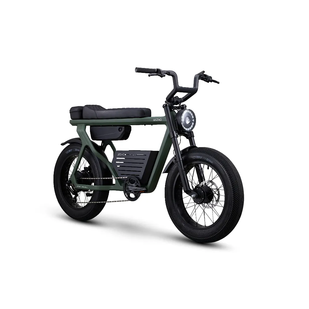 ER-01 ELECTRIC BICYCLE