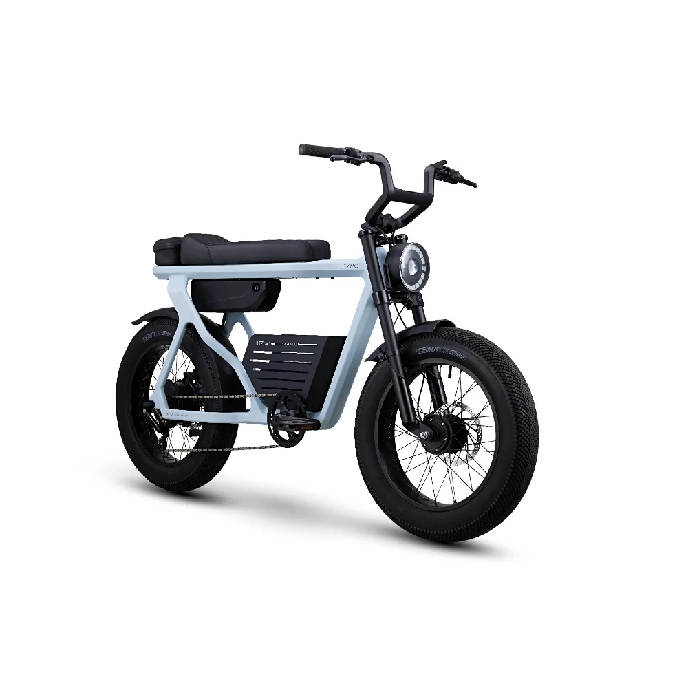 ER-01 ELECTRIC BICYCLE