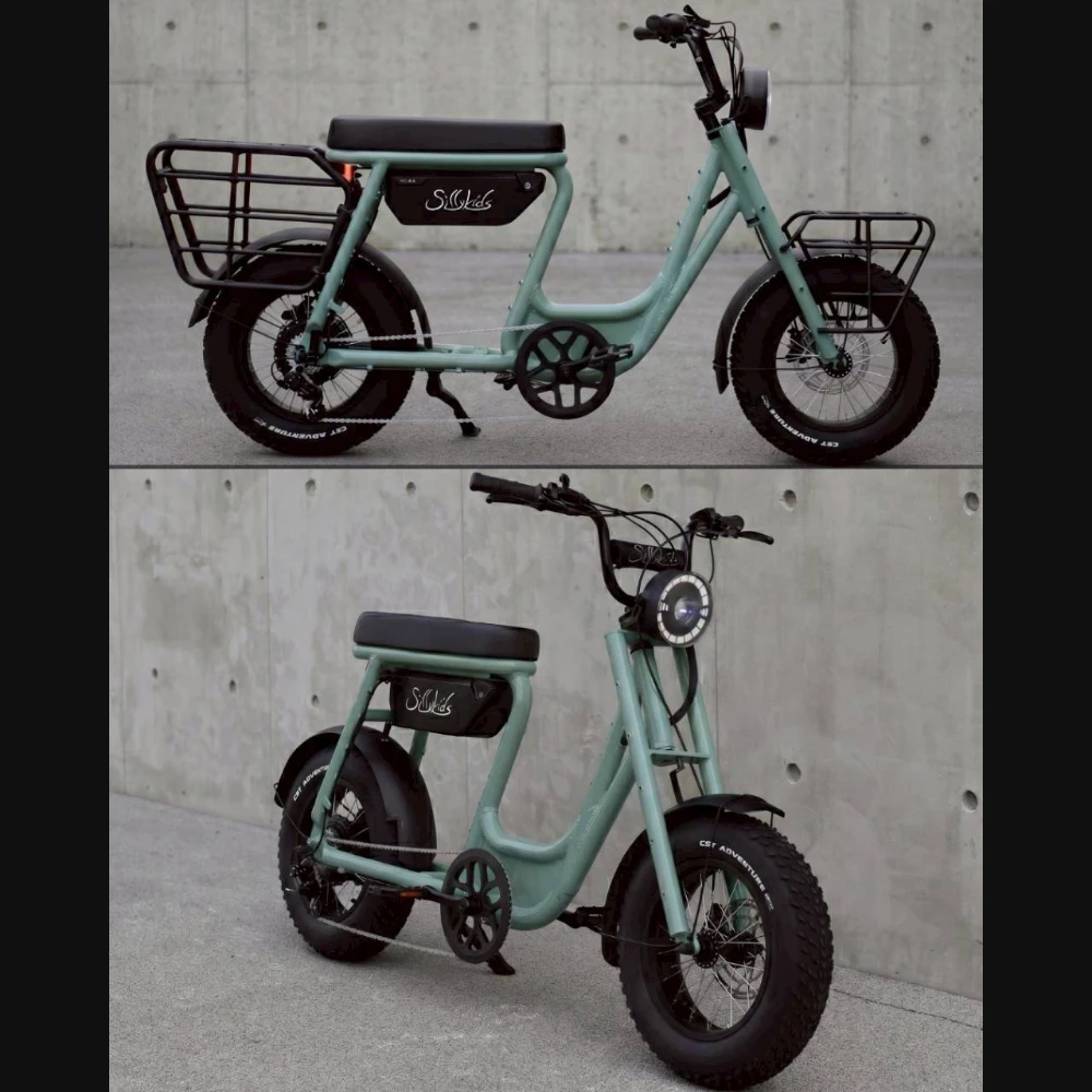 BugS 電輔車