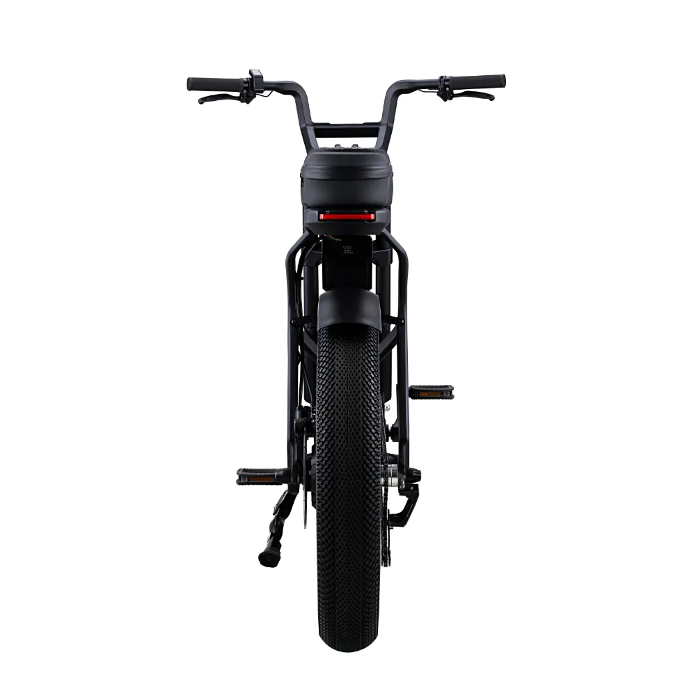 ER-01 ELECTRIC BICYCLE