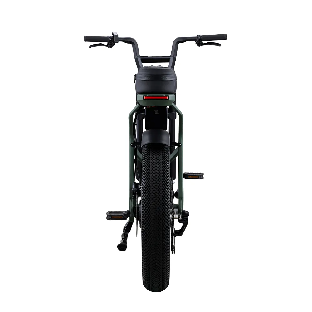 ER-01 ELECTRIC BICYCLE