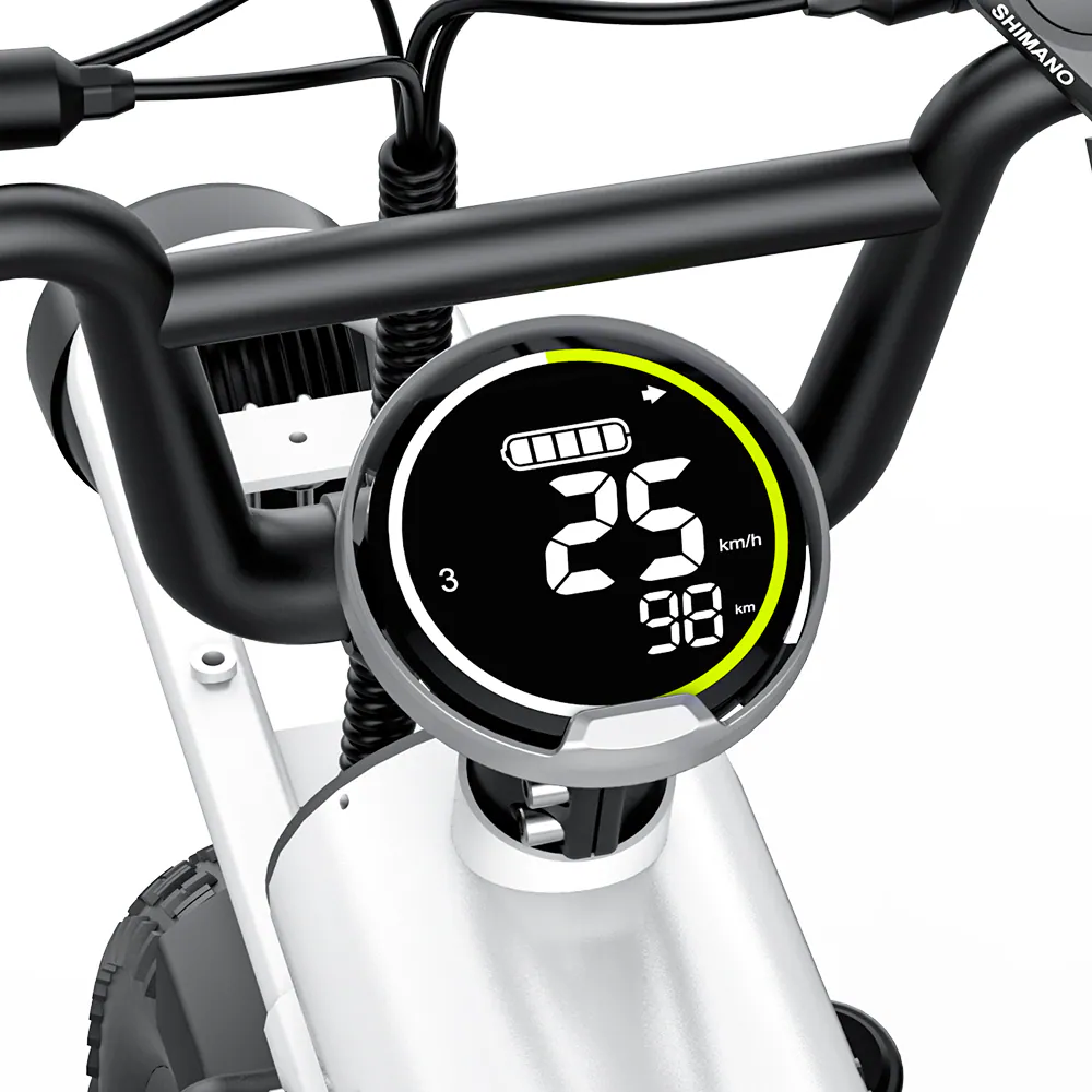 COSWHEEL 電動輔助自行車 T16｜ 48V500W｜ 25AH